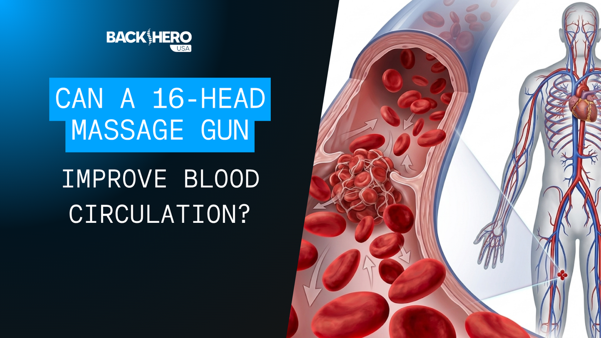 back-hero-usa-can-a-16-head-massage-gun-improve-blood-circulation-1
