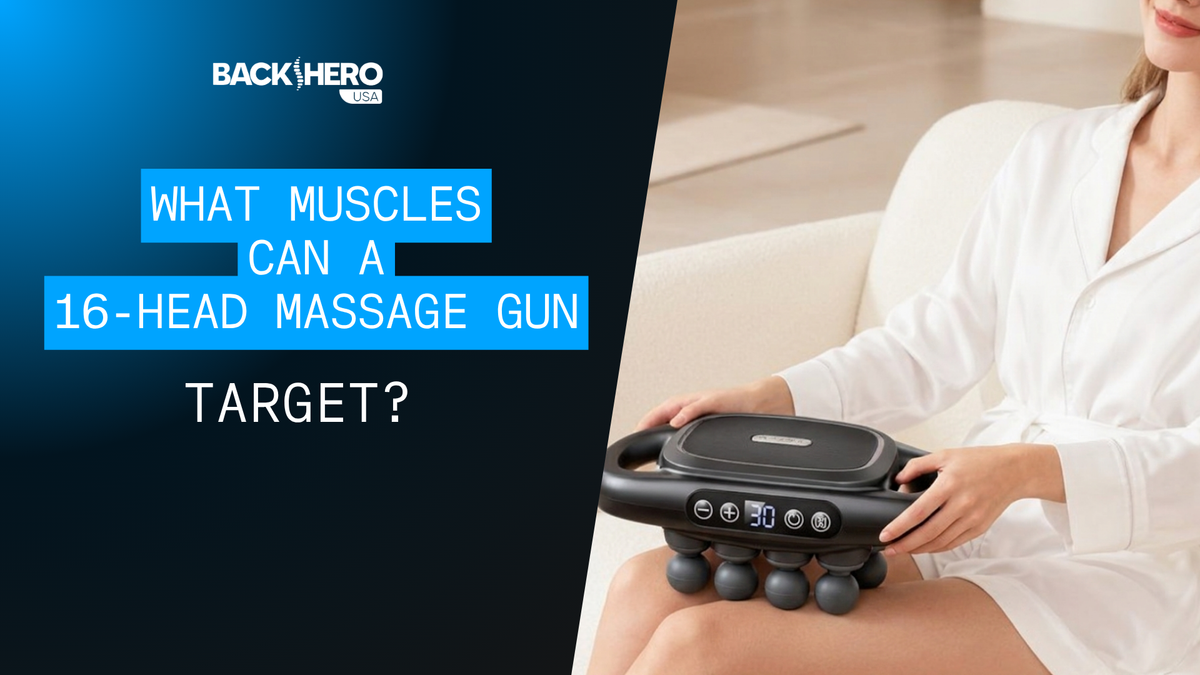 back-hero-usa-what-muscles-can-a-16-head-massage-gun-target-1