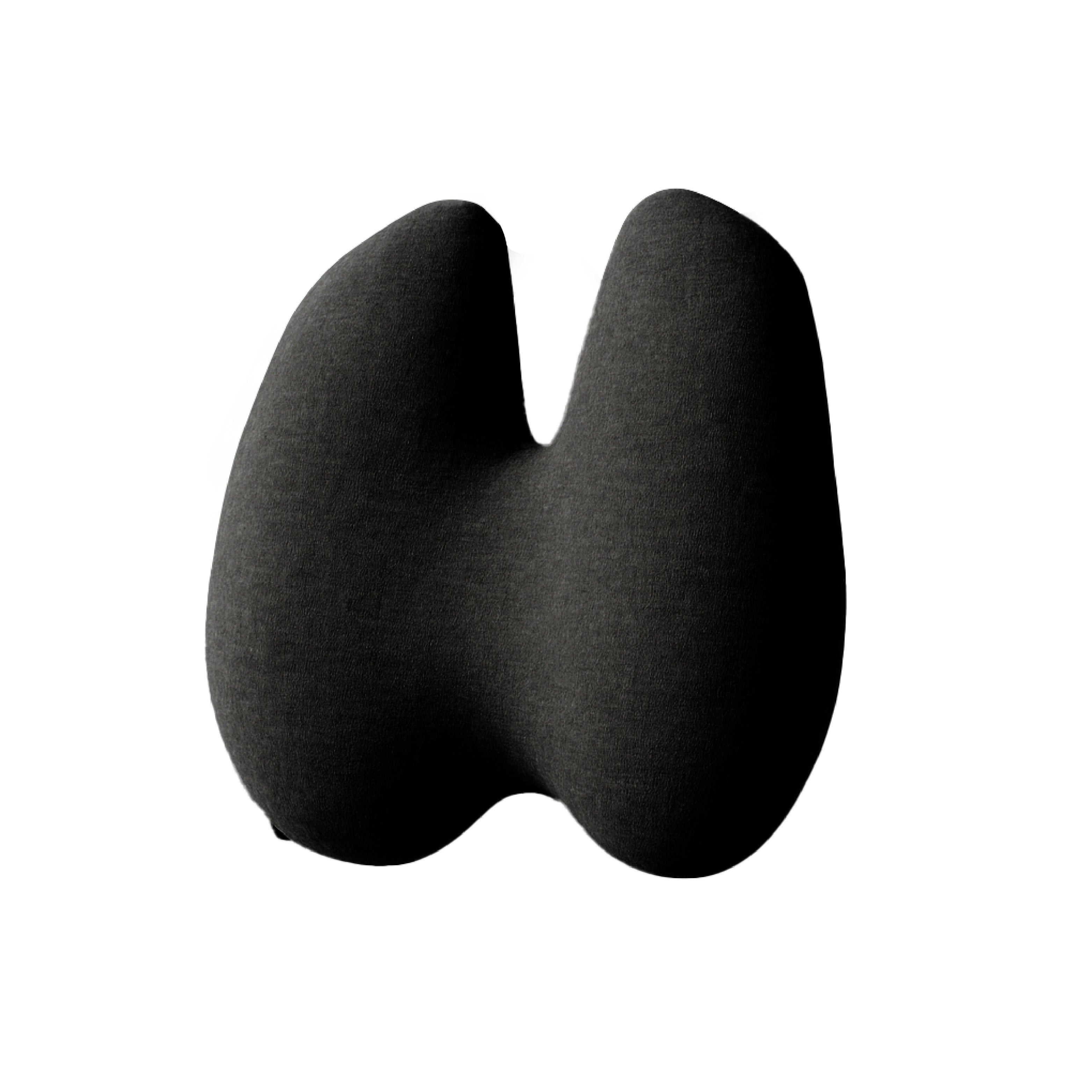 back-n-spine-lumbar-support-cushion-5