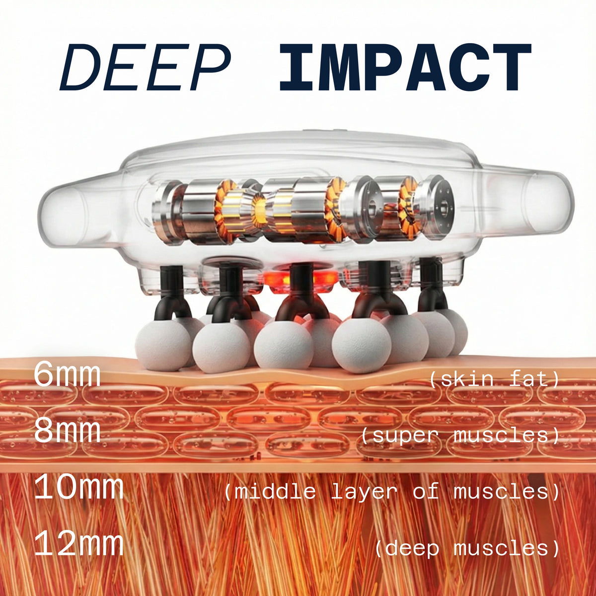Deep impact: how deep the 16 heads reach into the muscle